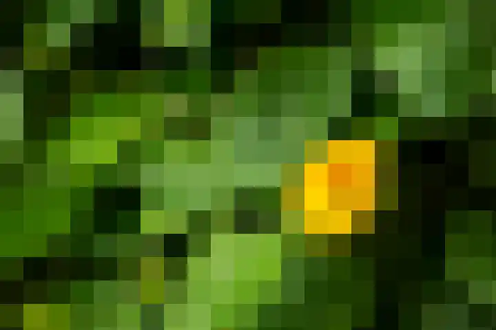 Drossaard 24 Naarden thumbnail 7