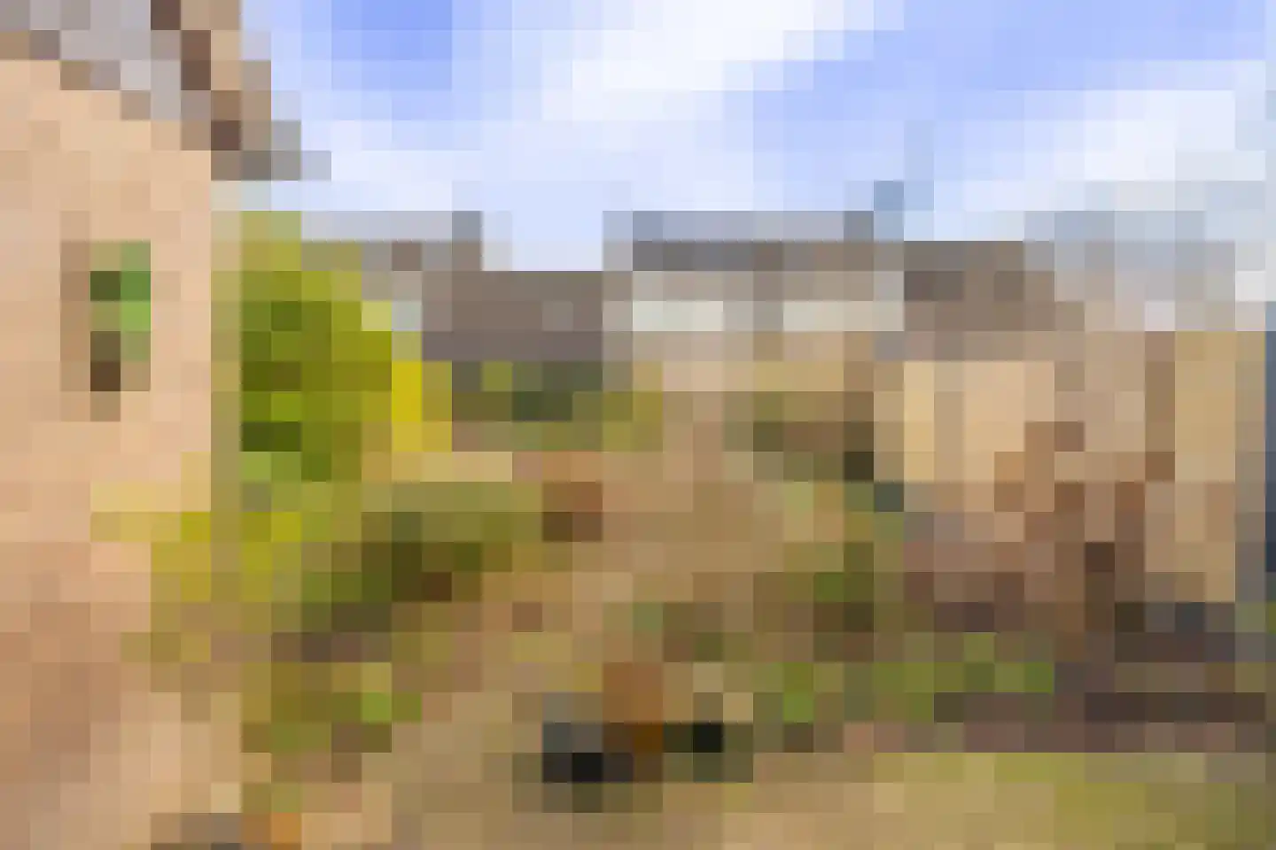 Drossaard 5 Woudrichem thumbnail 23