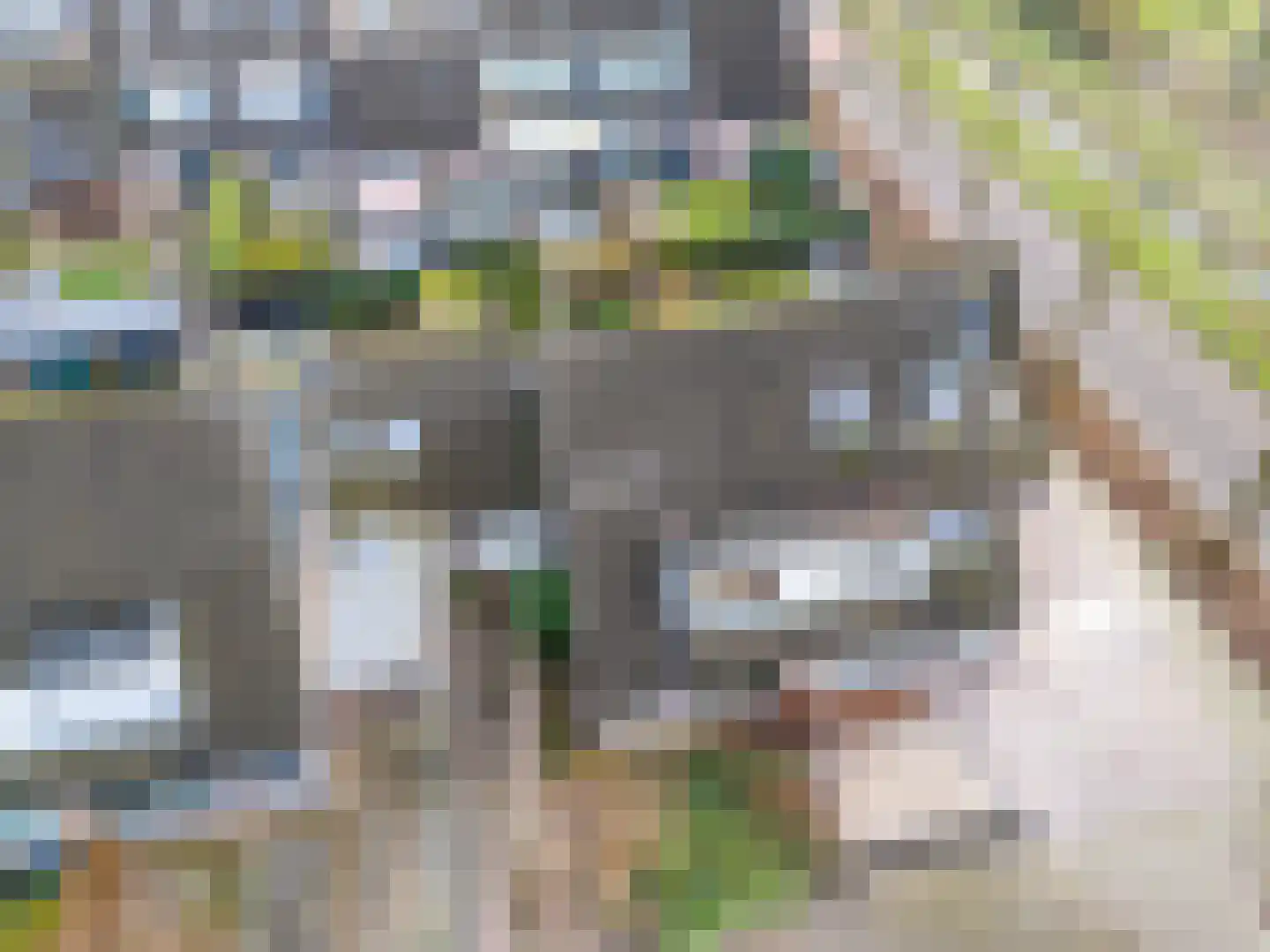 Drossaard 5 Woudrichem thumbnail 26