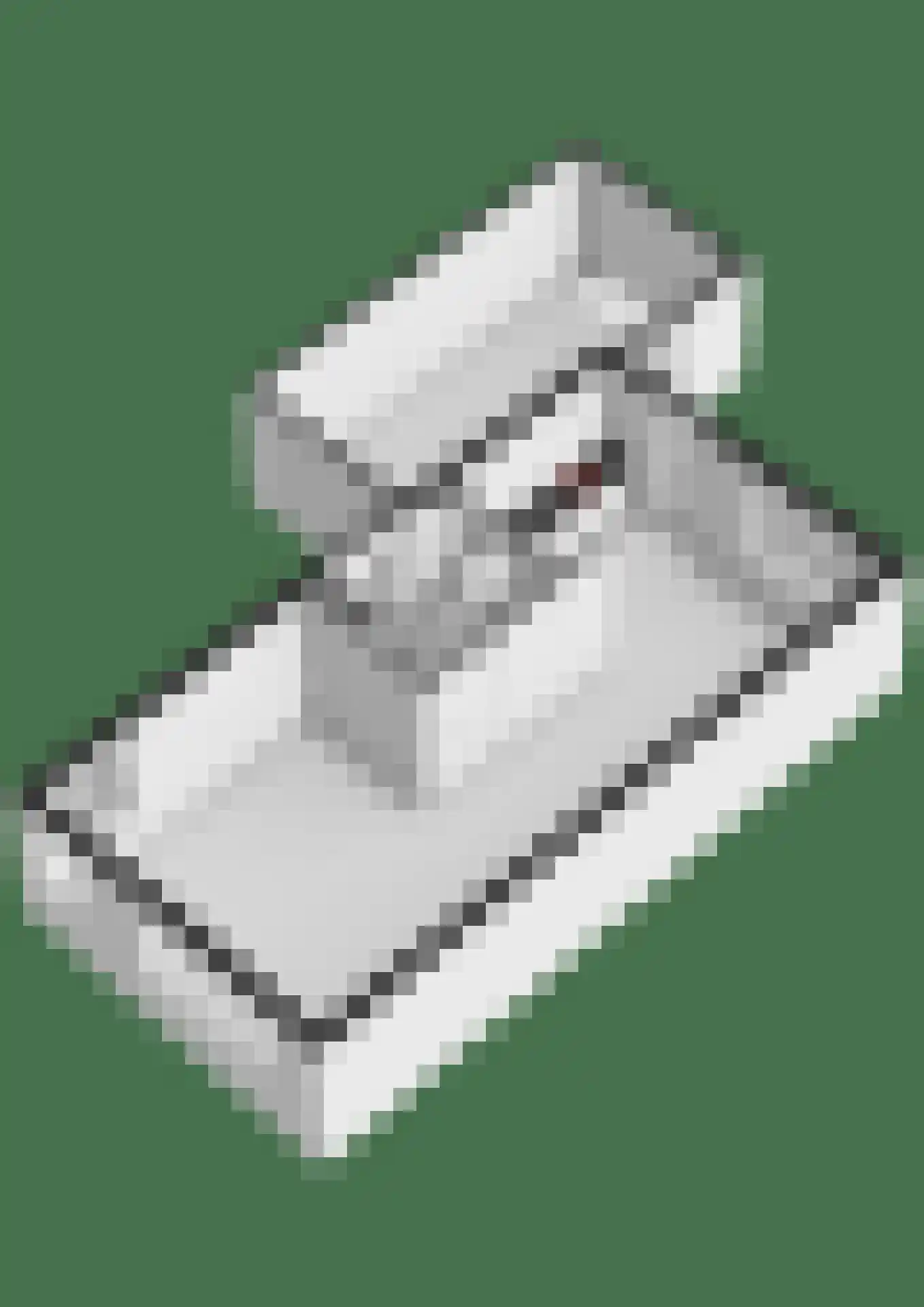 Drossaard 5 Woudrichem thumbnail 30