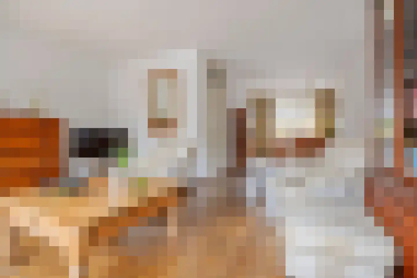 Drossaard 5 Woudrichem thumbnail 6