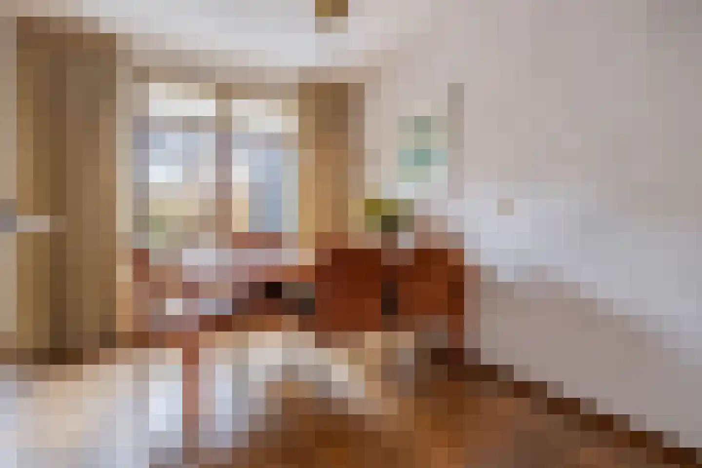 Drossaard 5 Woudrichem thumbnail 7