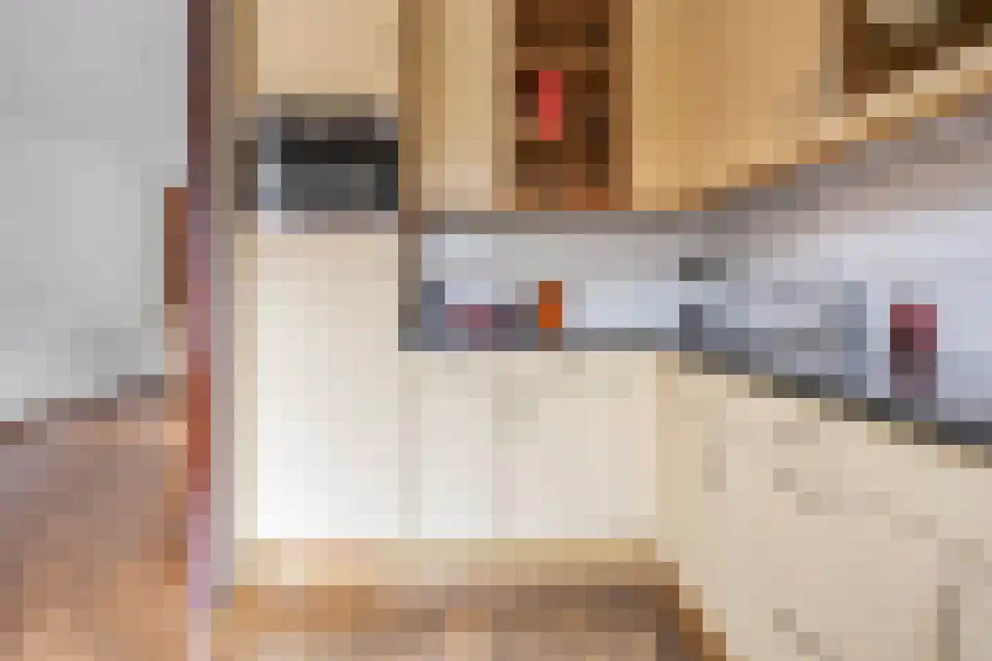 Drossaard 5 Woudrichem thumbnail 9