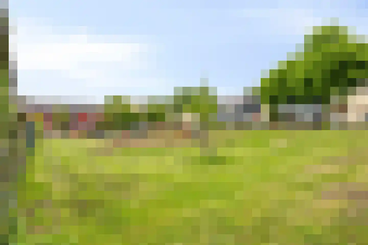 Drossaard 52 Bergen op Zoom thumbnail 29