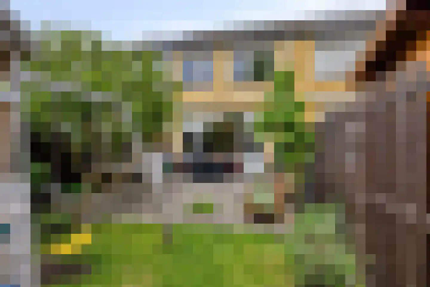 Drossaard 52 Bergen op Zoom thumbnail 4