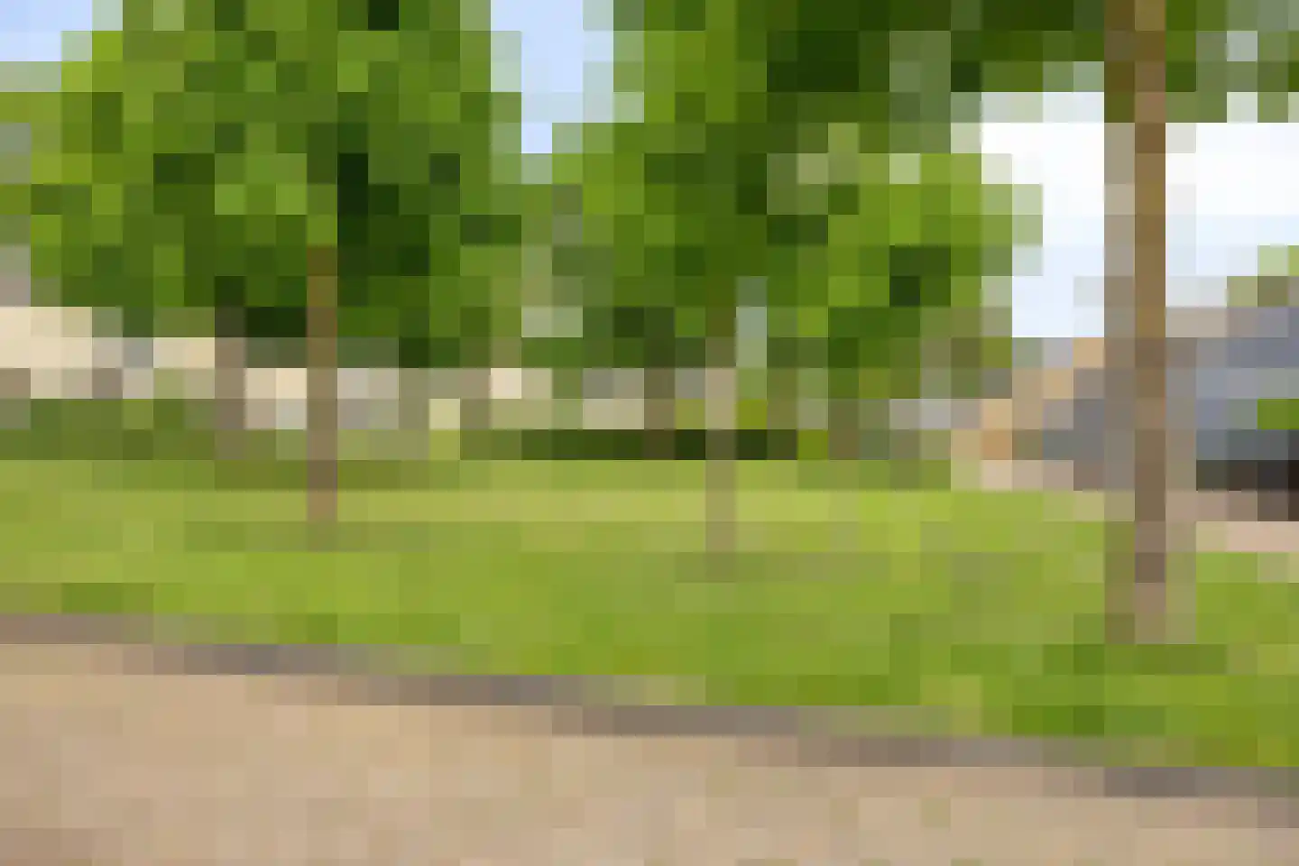 Drossaard 52 Bergen op Zoom thumbnail 5
