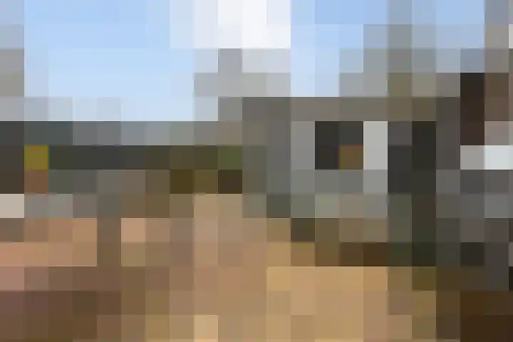 Drossaard 9 Bergen op Zoom thumbnail 30