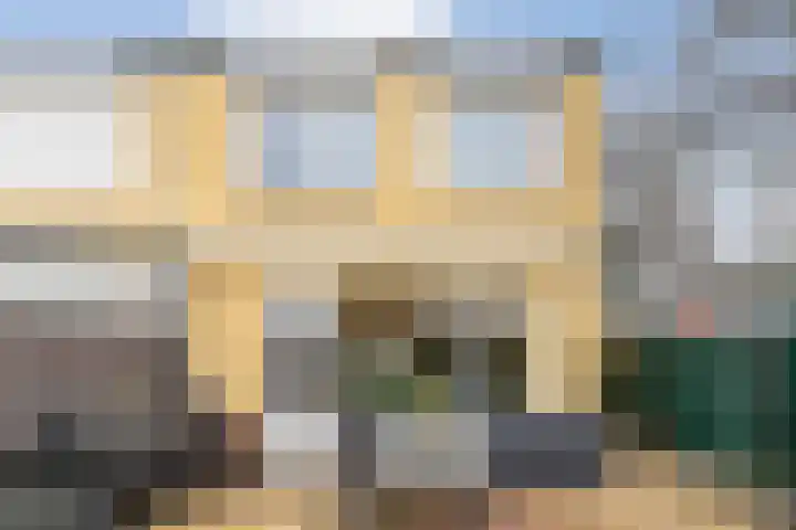 Drossaard 9 Bergen op Zoom thumbnail 32