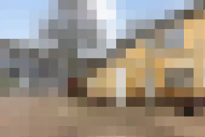 Drossaard 9 Bergen op Zoom thumbnail 38