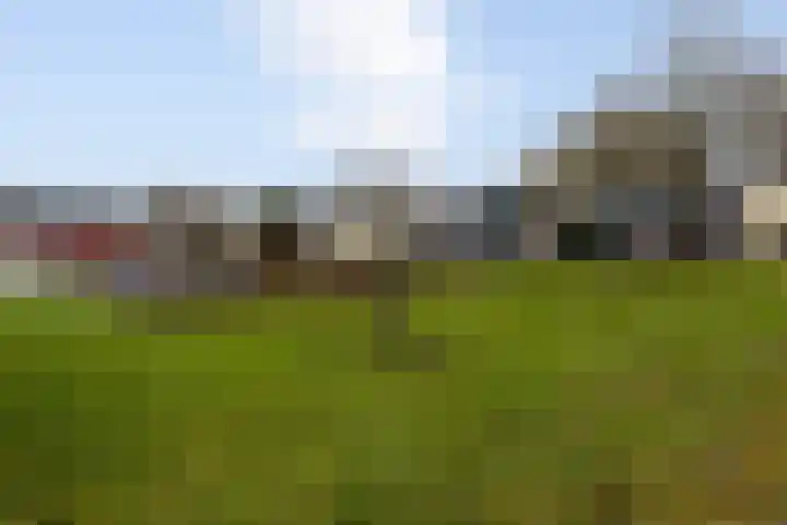 Drossaard 9 Bergen op Zoom thumbnail 39