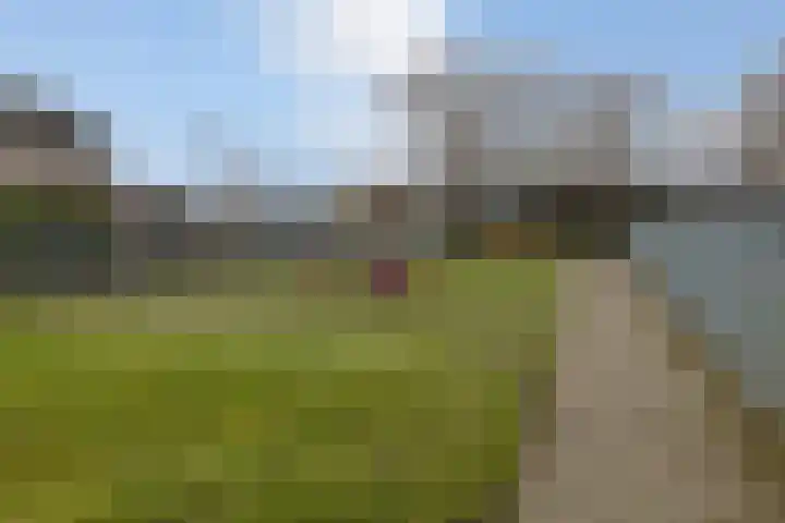 Drossaard 9 Bergen op Zoom thumbnail 40