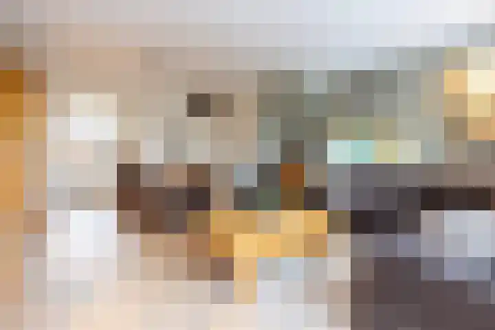 Drossaard 9 Bergen op Zoom thumbnail 8