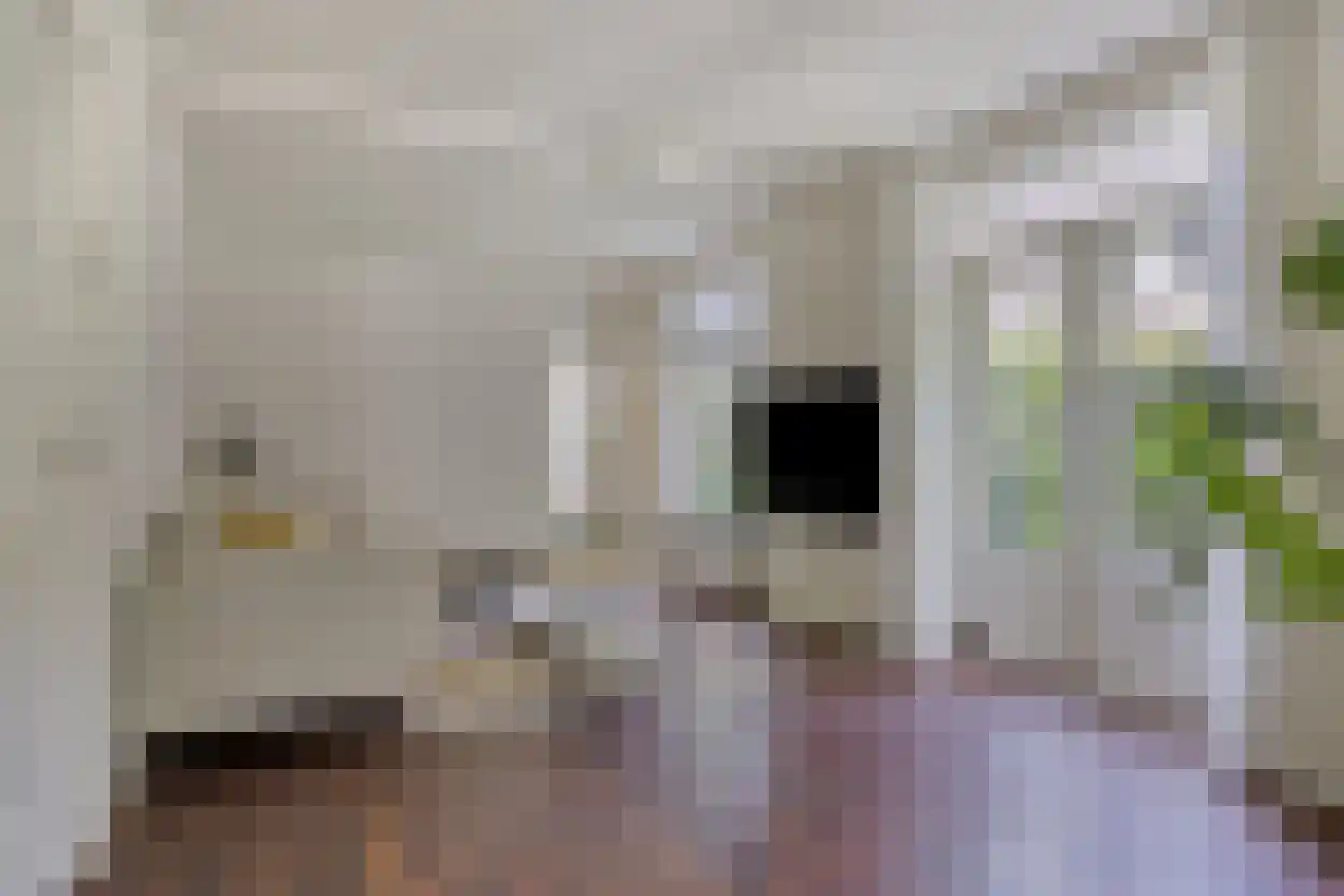 Drossaard van Wesepstraat 6 Tilburg thumbnail 12