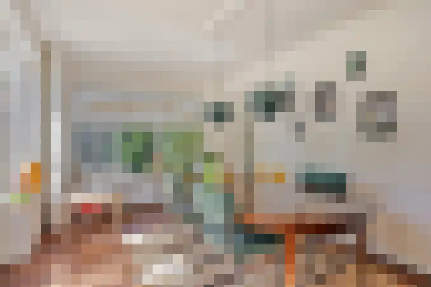 Drossaard van Wesepstraat 6 Tilburg thumbnail 16