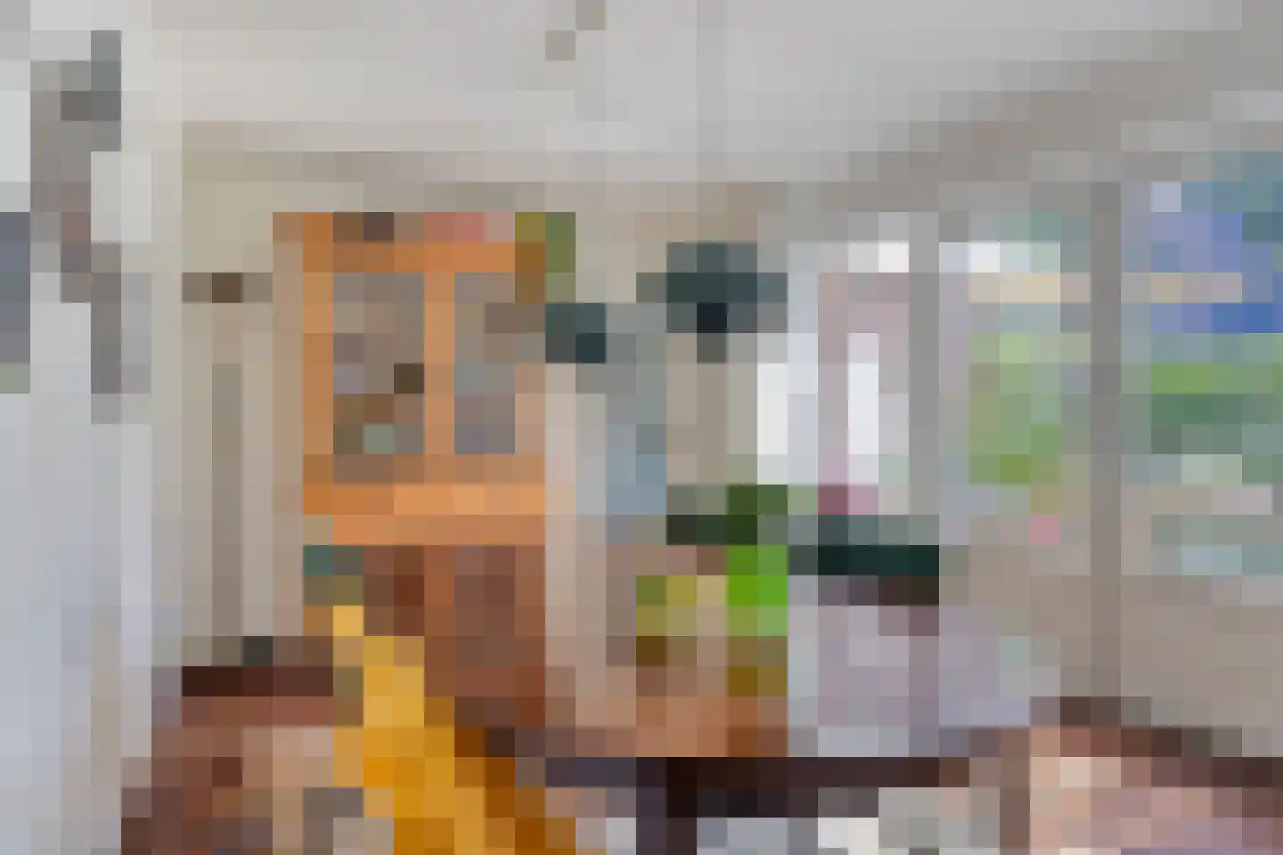 Drossaard van Wesepstraat 6 Tilburg thumbnail 17