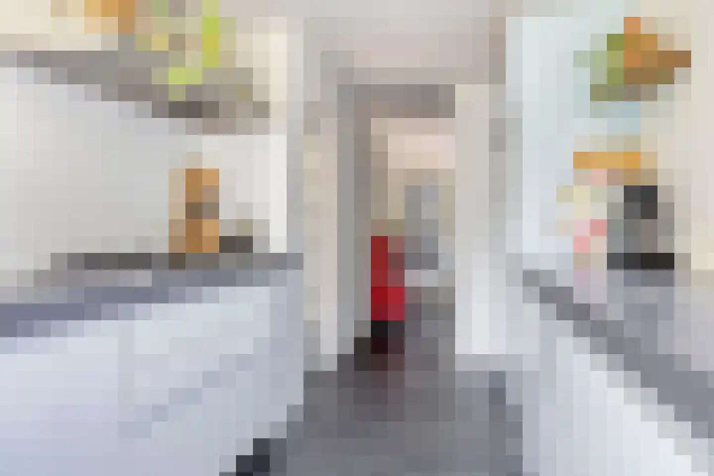 Drossaard van Wesepstraat 6 Tilburg thumbnail 20