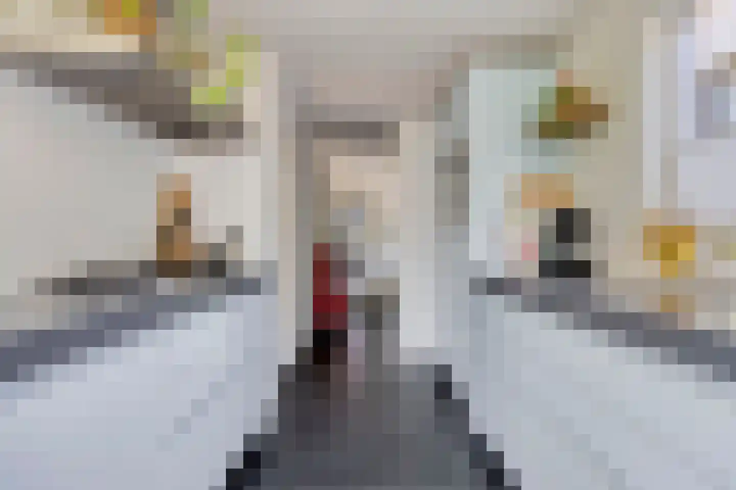 Drossaard van Wesepstraat 6 Tilburg thumbnail 21