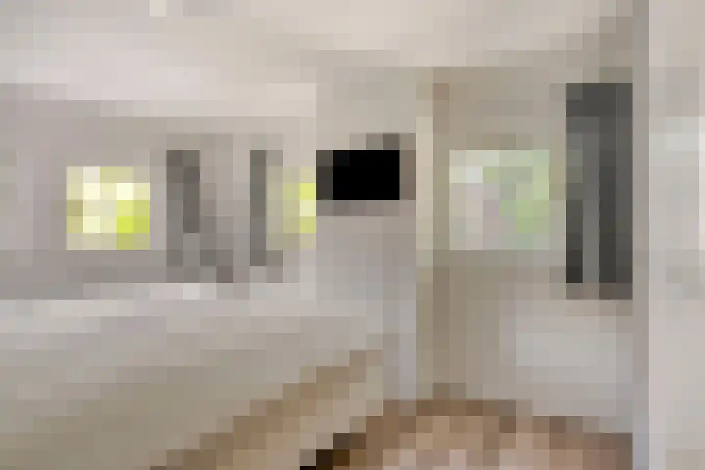 Drossaard van Wesepstraat 6 Tilburg thumbnail 27