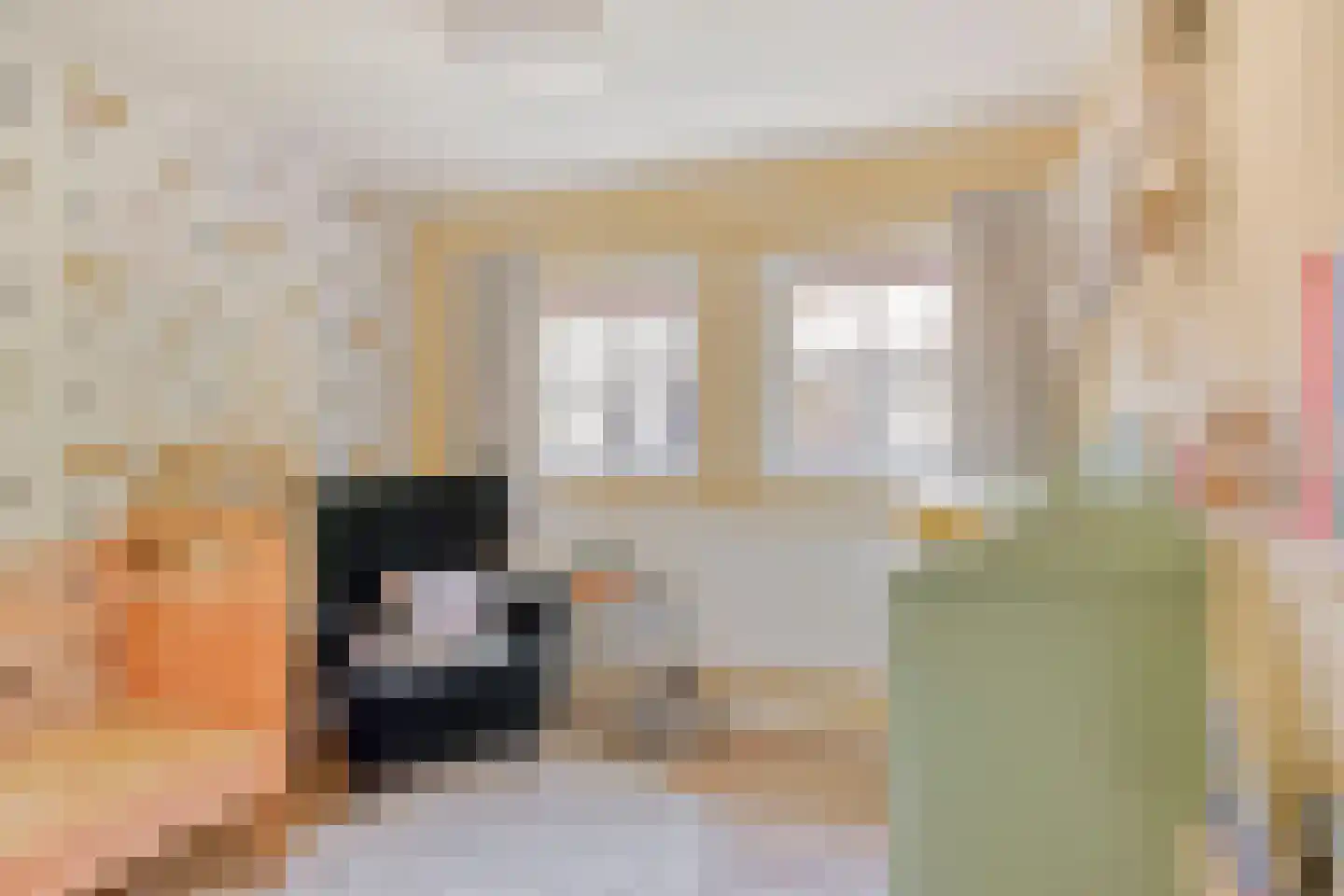 Drossaard van Wesepstraat 6 Tilburg thumbnail 32