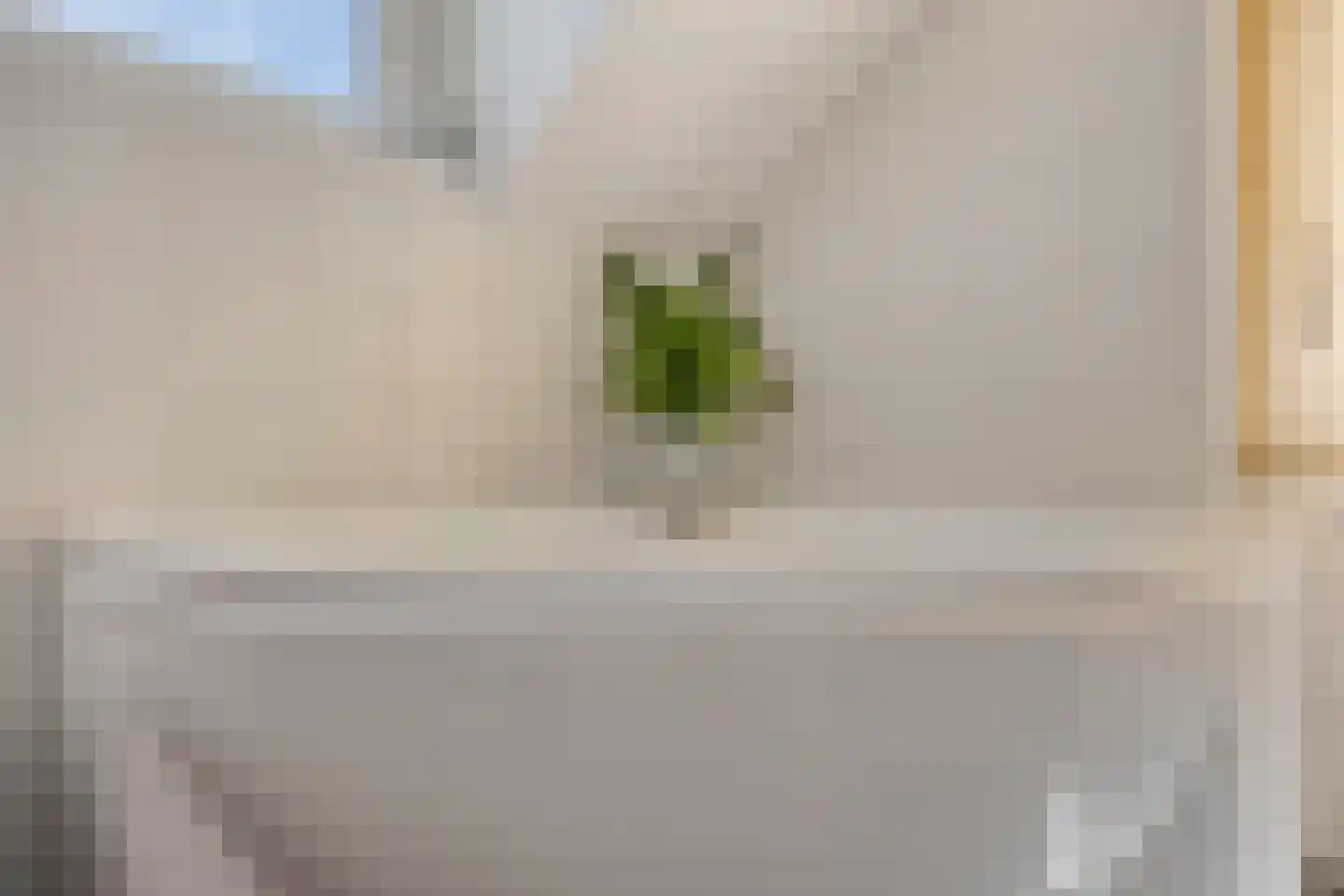 Drossaard van Wesepstraat 6 Tilburg thumbnail 37