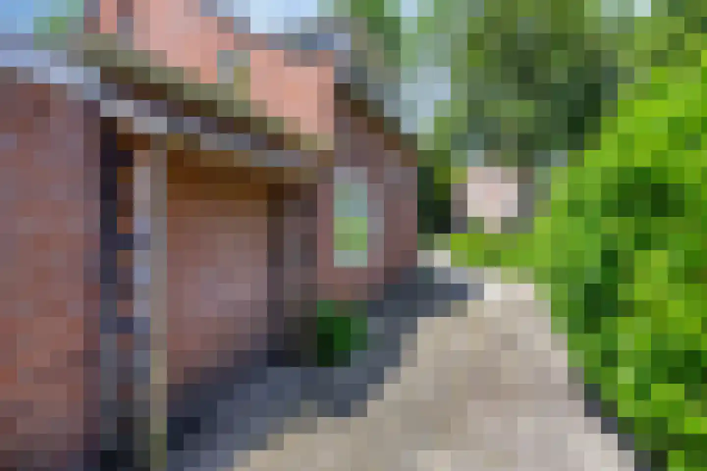 Drossaard van Wesepstraat 6 Tilburg thumbnail 4