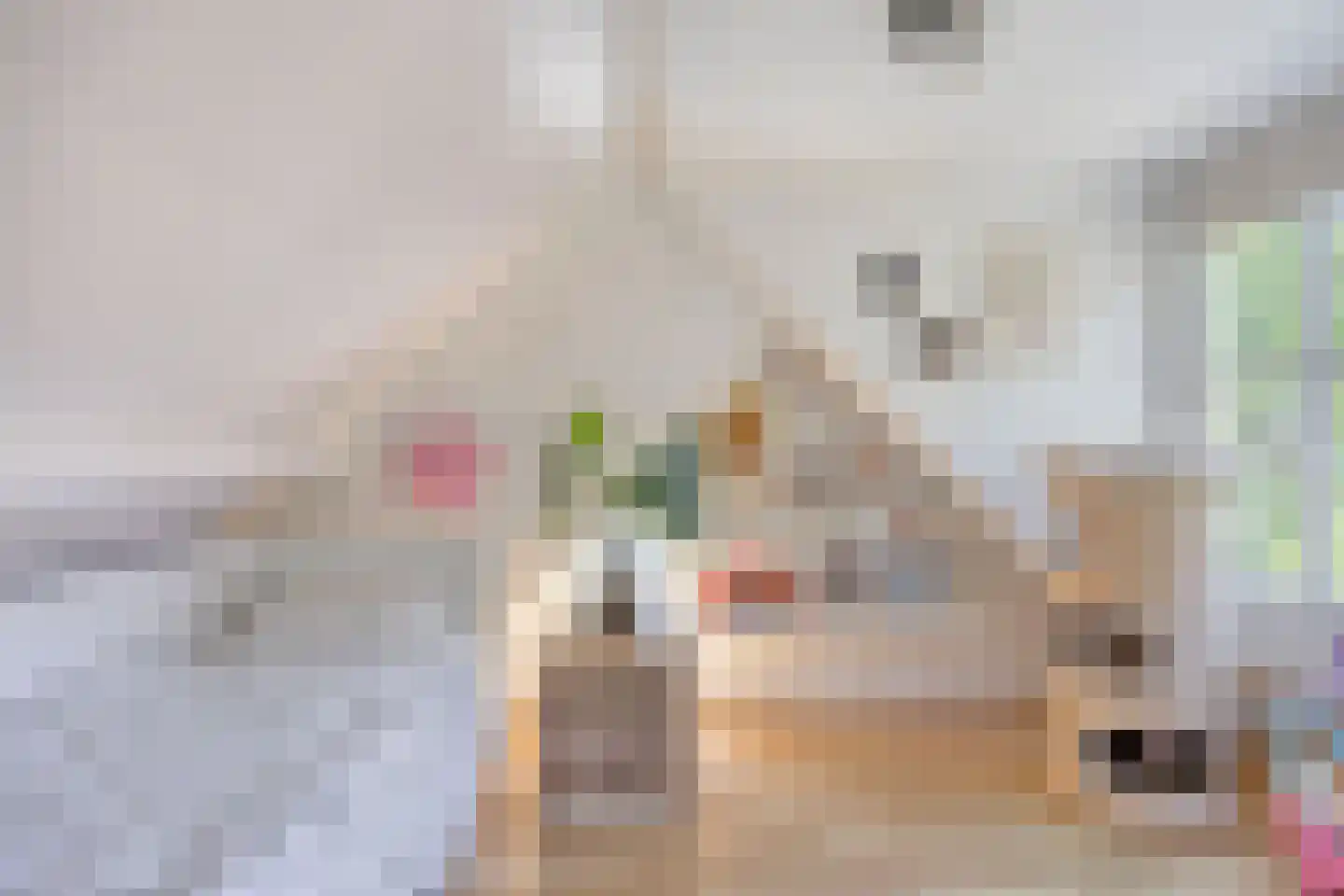 Drossaard van Wesepstraat 6 Tilburg thumbnail 42