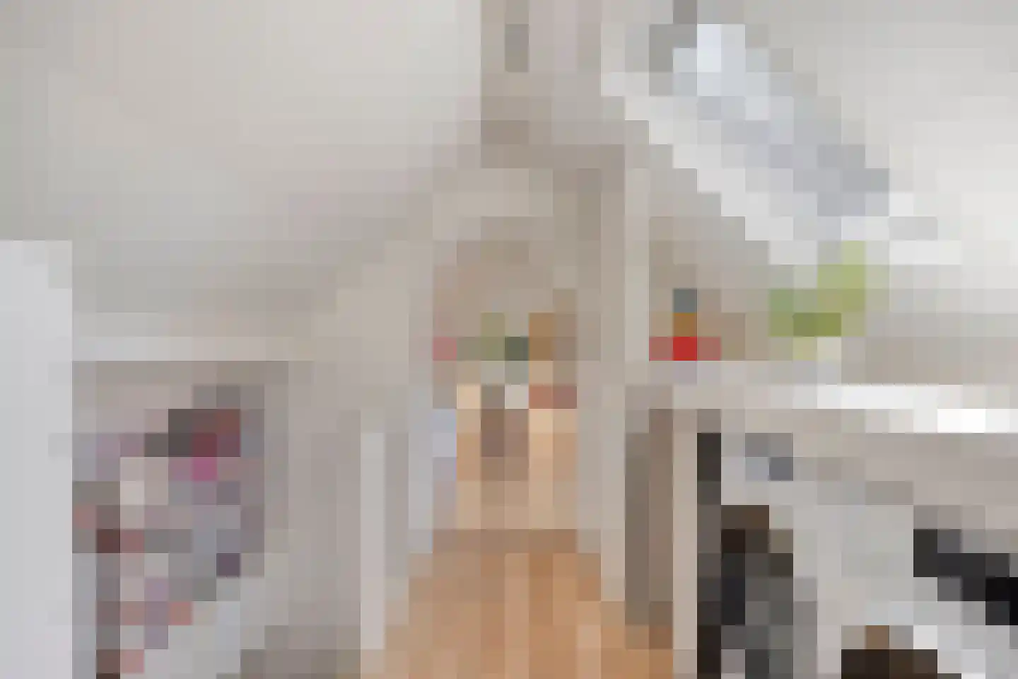 Drossaard van Wesepstraat 6 Tilburg thumbnail 44