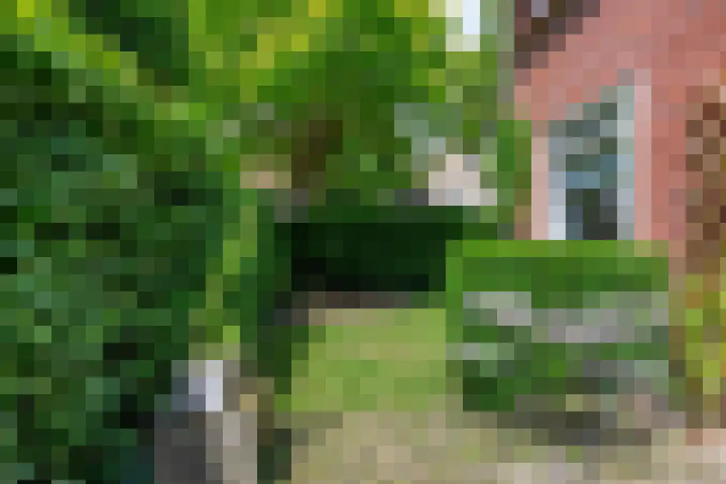 Drossaard van Wesepstraat 6 Tilburg thumbnail 56