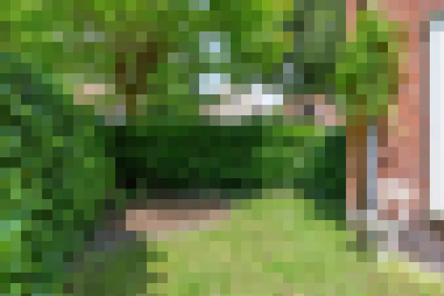 Drossaard van Wesepstraat 6 Tilburg thumbnail 57