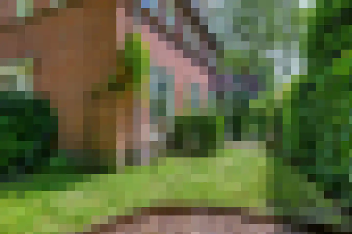 Drossaard van Wesepstraat 6 Tilburg thumbnail 58