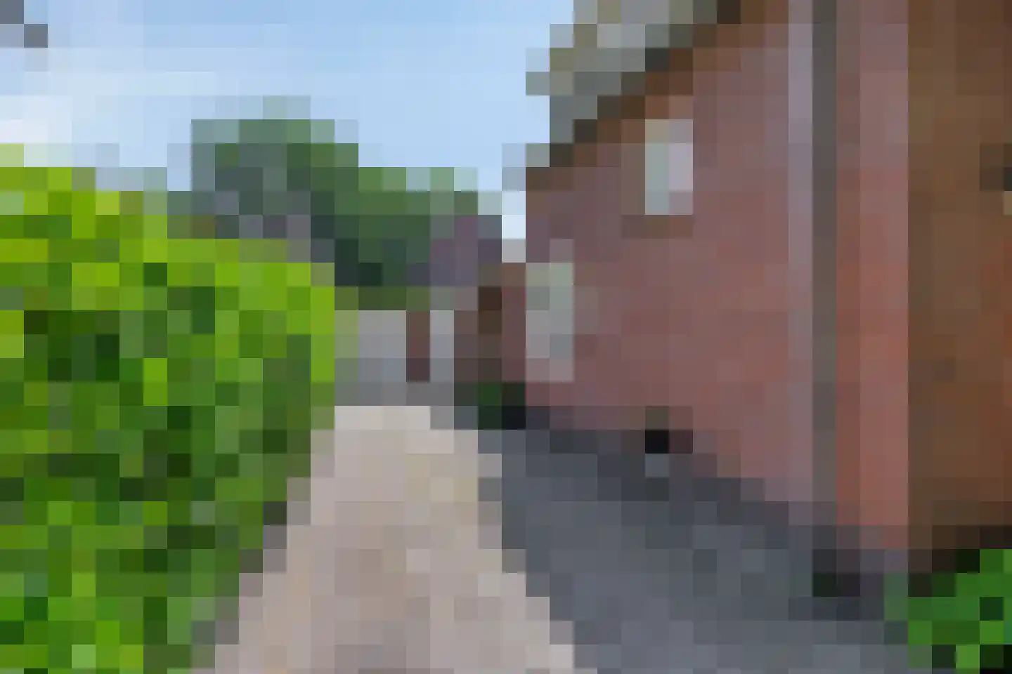 Drossaard van Wesepstraat 6 Tilburg thumbnail 59