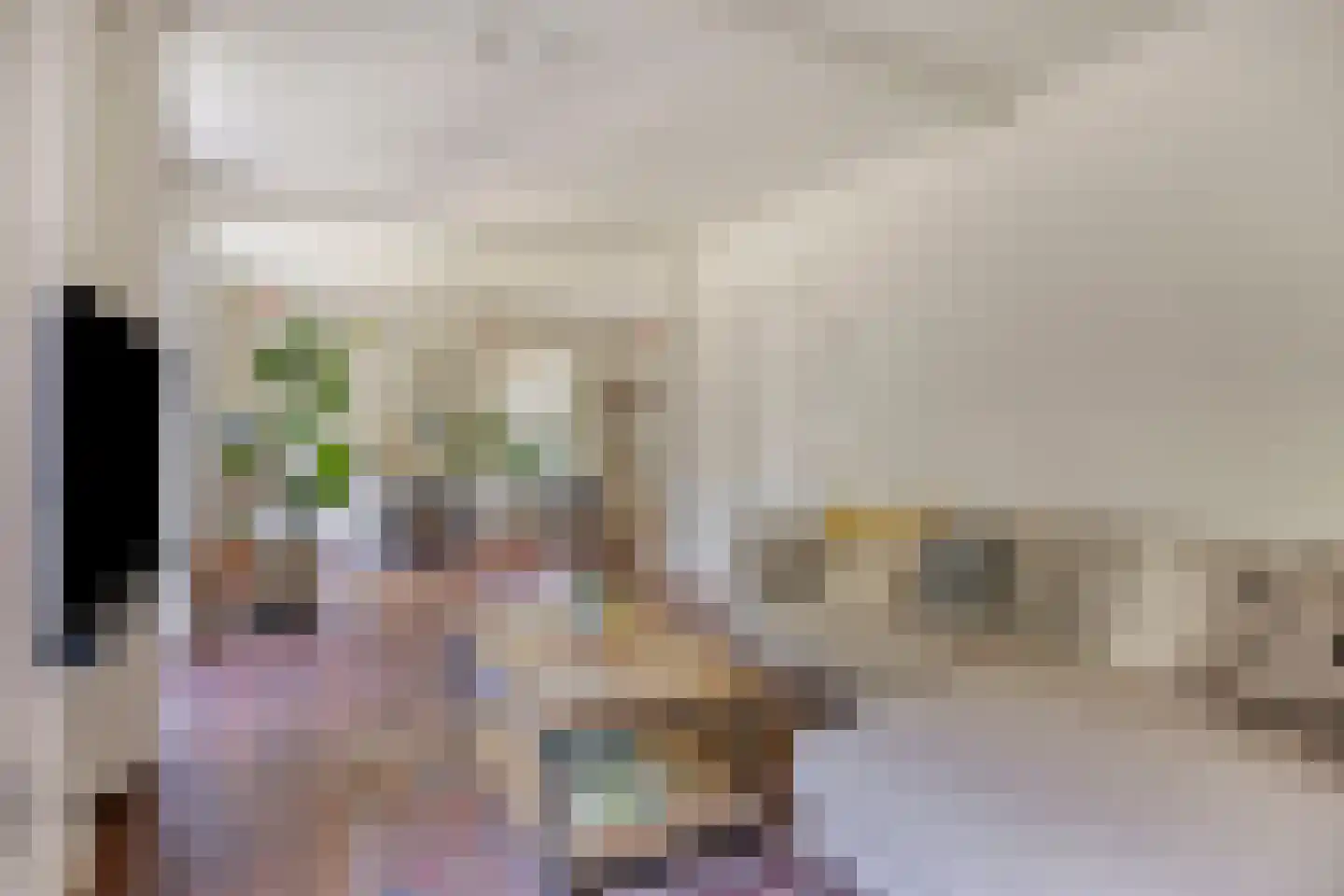 Drossaard van Wesepstraat 6 Tilburg thumbnail 7