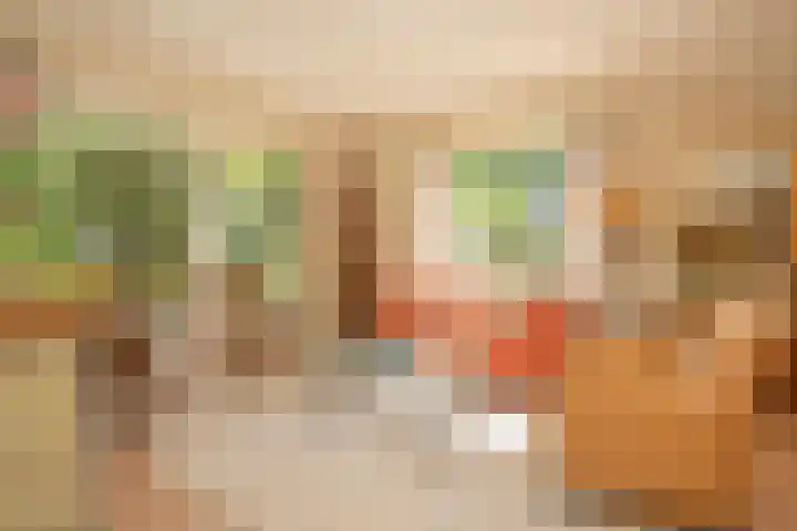 Drossaard van Wesepstraat 8 Tilburg thumbnail 12