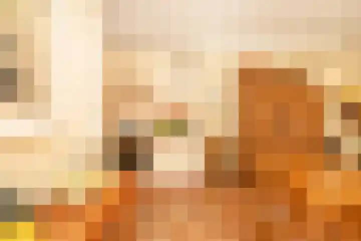 Drossaard van Wesepstraat 8 Tilburg thumbnail 17