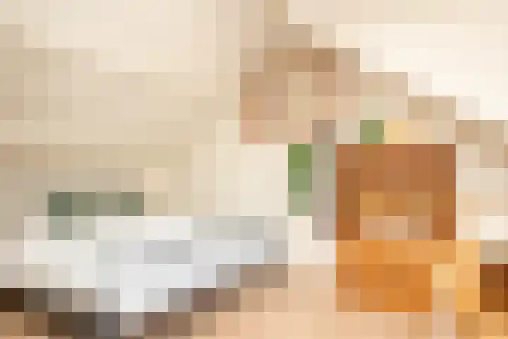 Drossaard van Wesepstraat 8 Tilburg thumbnail 36