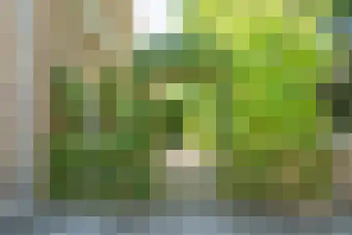 Drossaard van Wesepstraat 8 Tilburg thumbnail 37