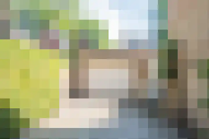 Drossaard van Wesepstraat 8 Tilburg thumbnail 38