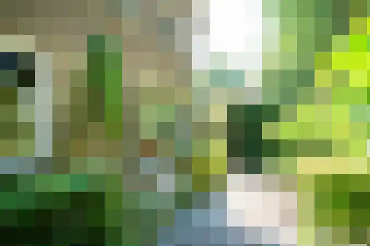 Drossaard van Wesepstraat 8 Tilburg thumbnail 39