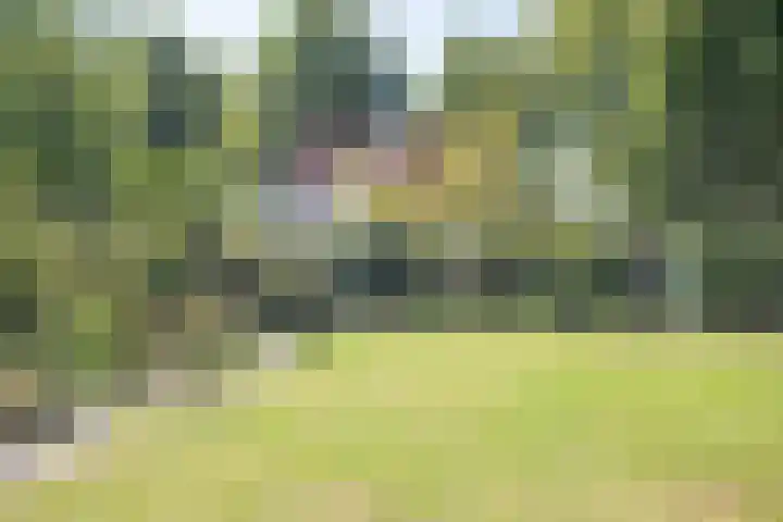 Drossaard van Wesepstraat 8 Tilburg thumbnail 46