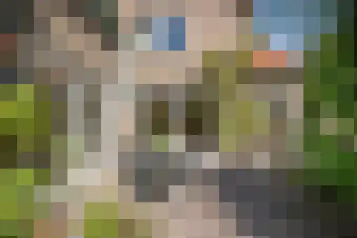 Drossaard van Wesepstraat 8 Tilburg thumbnail 47