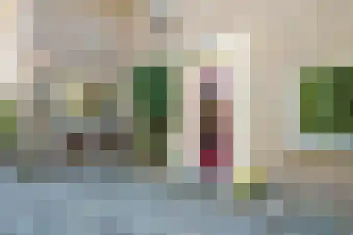Drossaard van Wesepstraat 8 Tilburg thumbnail 6