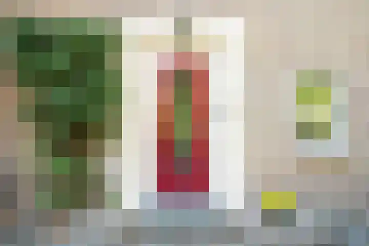 Drossaard van Wesepstraat 8 Tilburg thumbnail 7