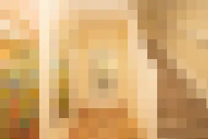 Drossaard van Wesepstraat 8 Tilburg thumbnail 9
