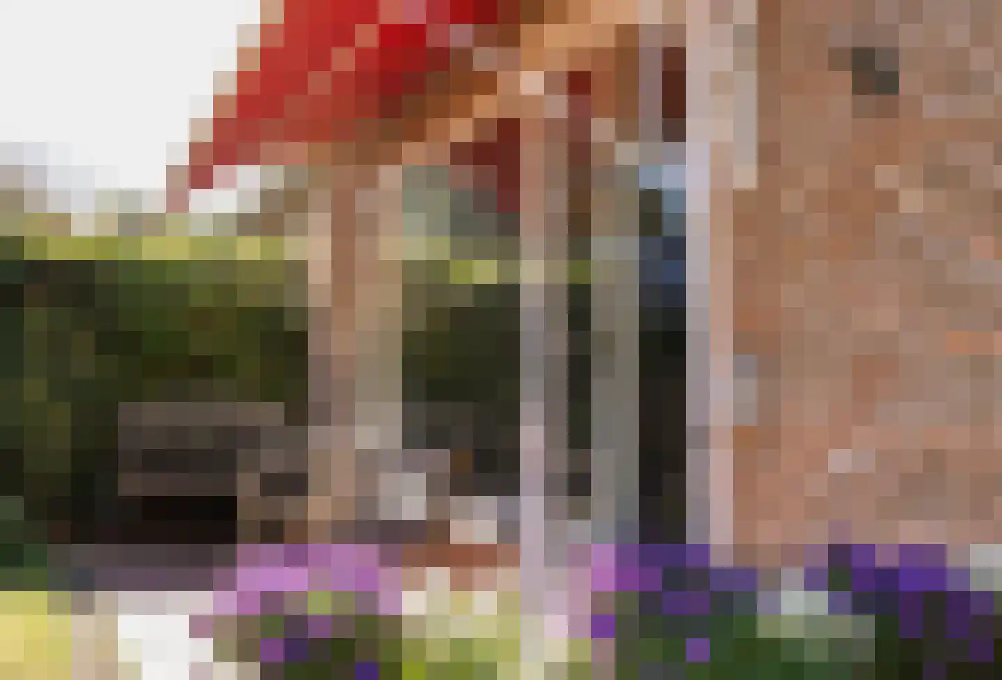 Drossaardlaan 11 Huizen thumbnail 11