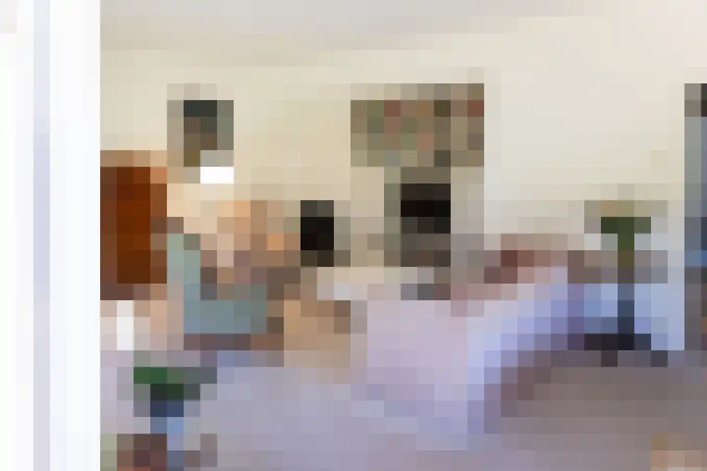Drossaardlaan 11 Huizen thumbnail 12