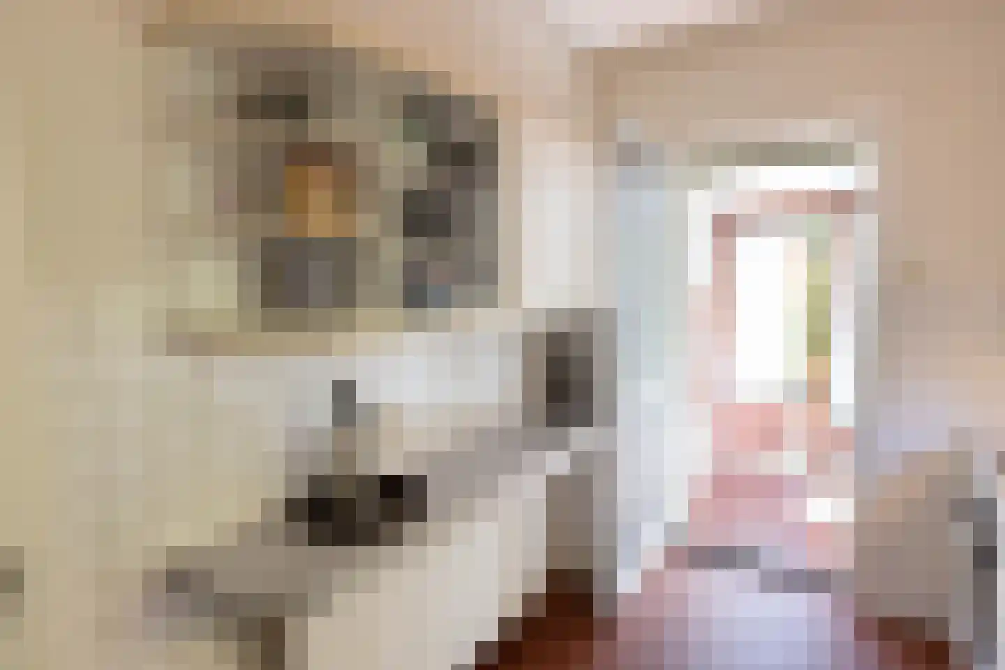 Drossaardlaan 11 Huizen thumbnail 15