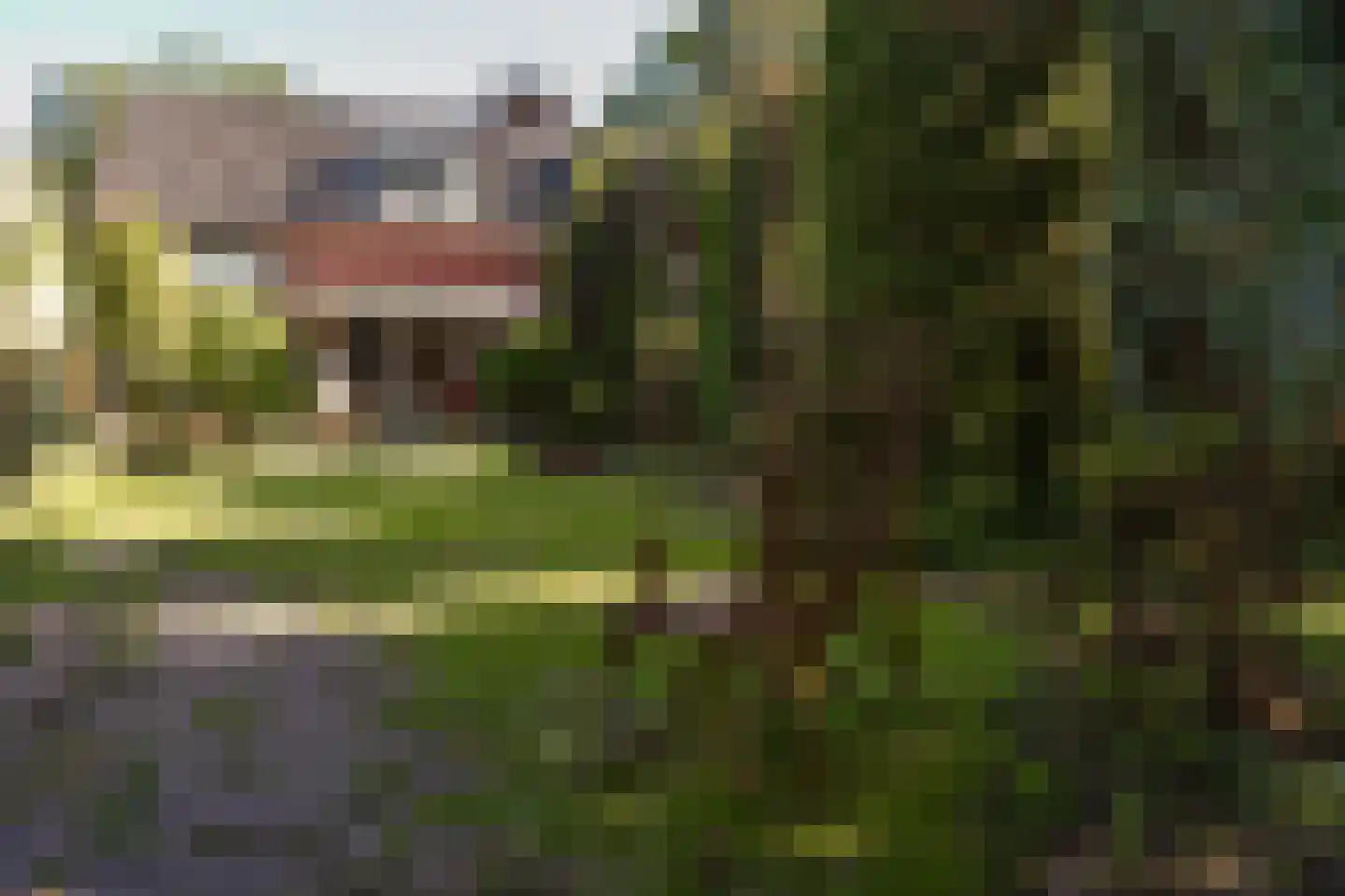Drossaardlaan 11 Huizen thumbnail 17