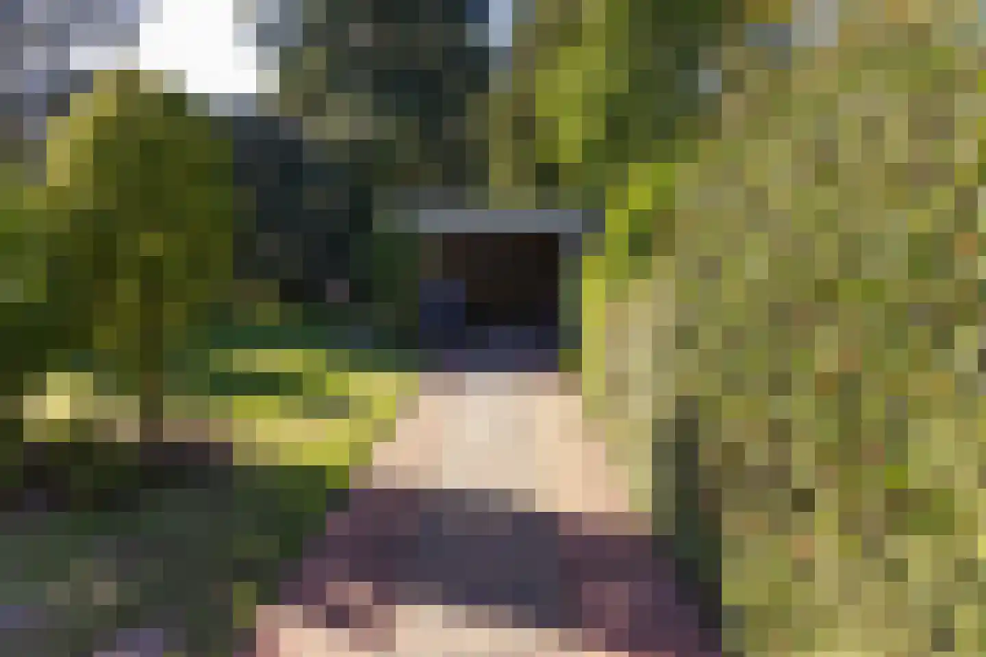 Drossaardlaan 11 Huizen thumbnail 18