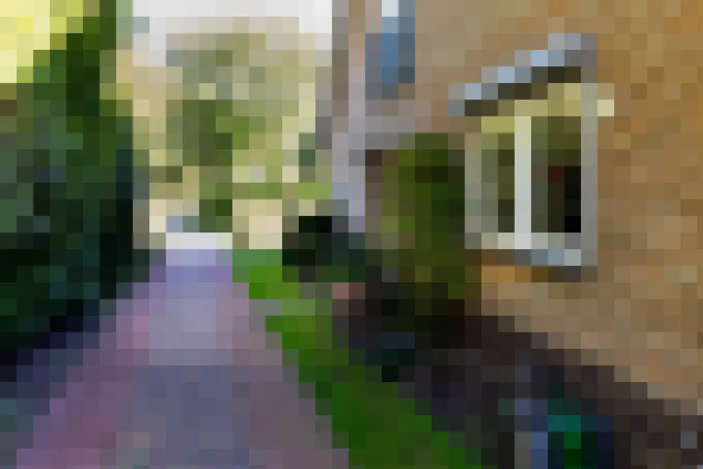 Drossaardlaan 11 Huizen thumbnail 19