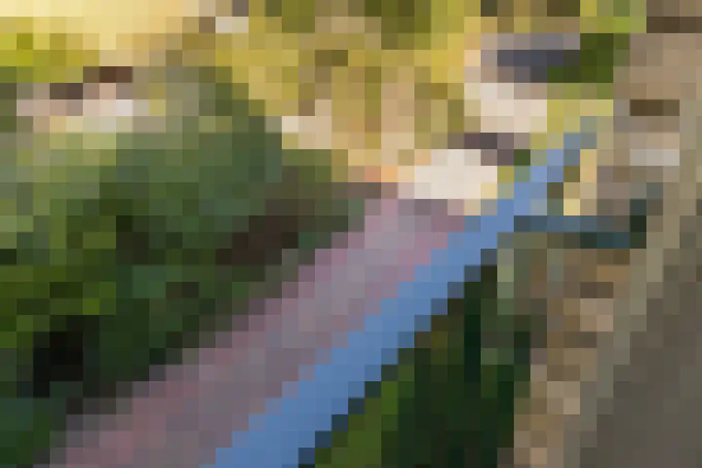 Drossaardlaan 11 Huizen thumbnail 23